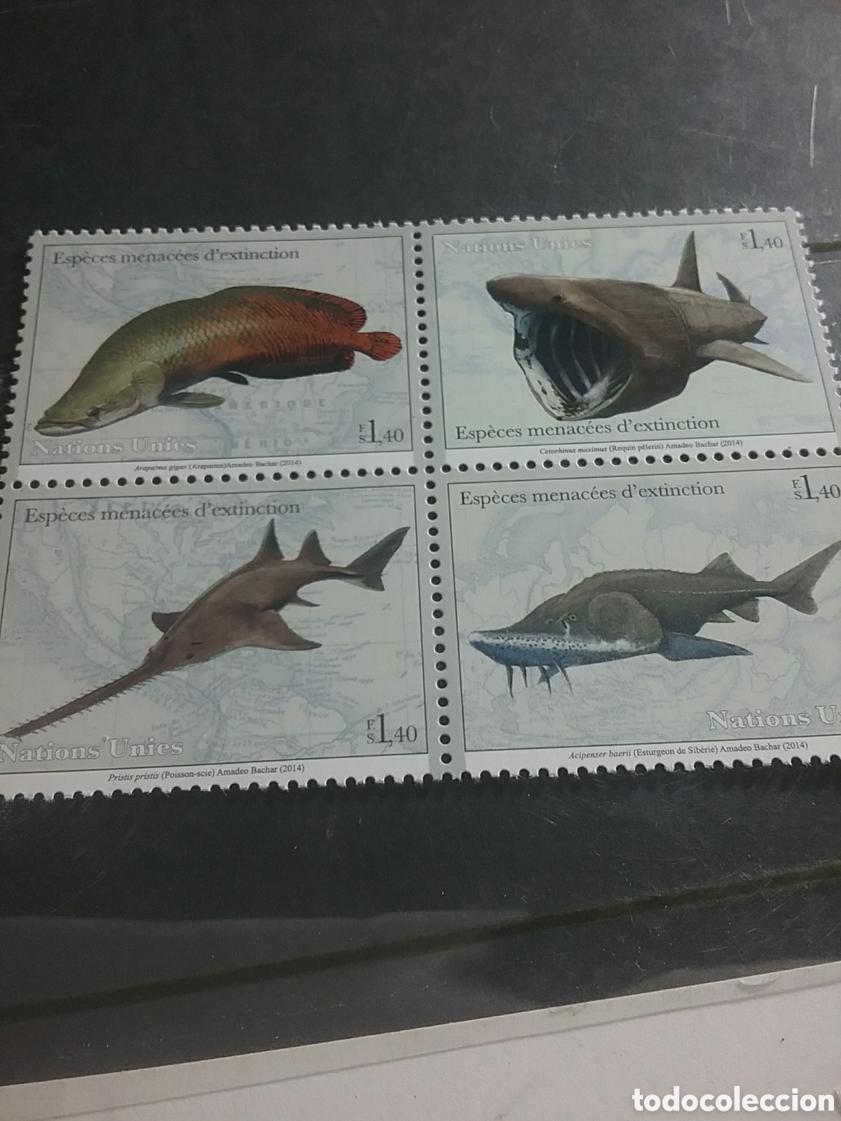Sellos: Sello Ginebra (N. Unidas) nuevo.2014. Peces peligro extincion. Pez sierra. Tibur&oacute;n. Esturion. Pache.