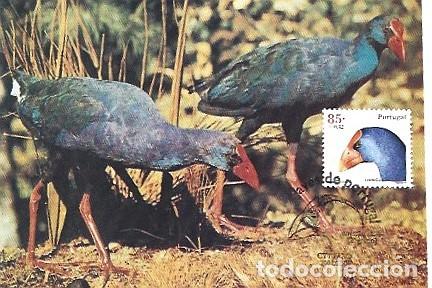 Sellos: Portugal & Maxima, Fauna Silvestre, Aves, Caim&aacute;n, Porphyrio porphyrio, Faro 2001 (2337)