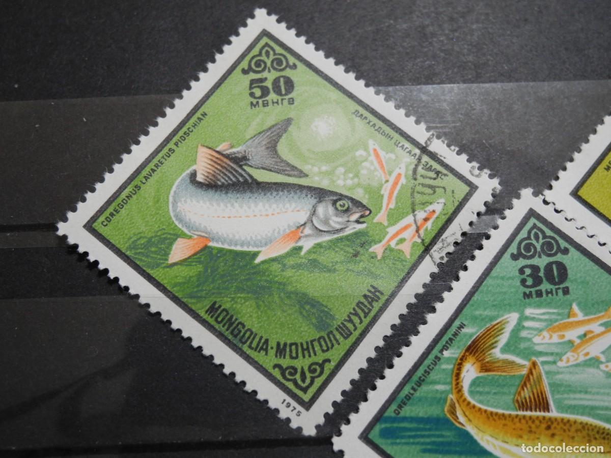 Sellos: Mongolia 1975. Yvert: MN 800 a 804. Peces. - Foto 2