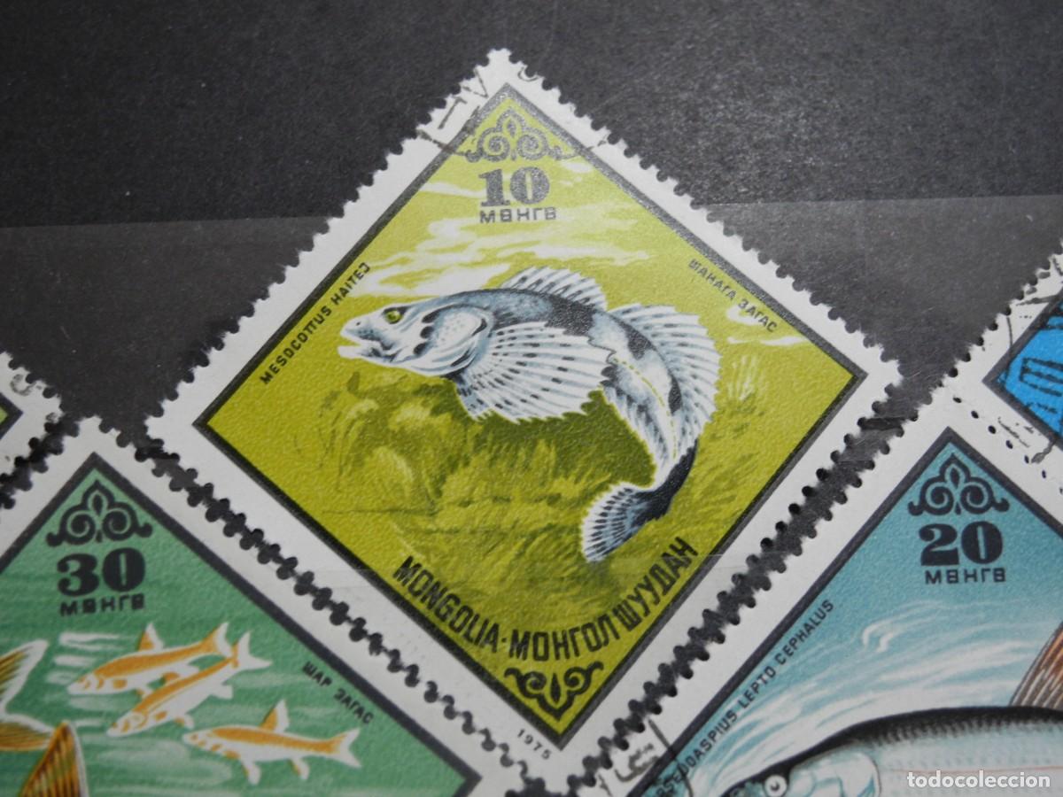 Sellos: Mongolia 1975. Yvert: MN 800 a 804. Peces. - Foto 3