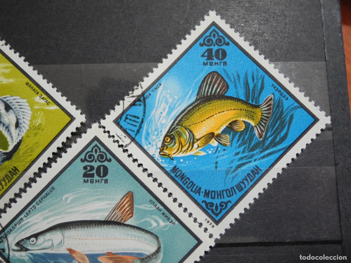 Sellos: Mongolia 1975. Yvert: MN 800 a 804. Peces. - Foto 4