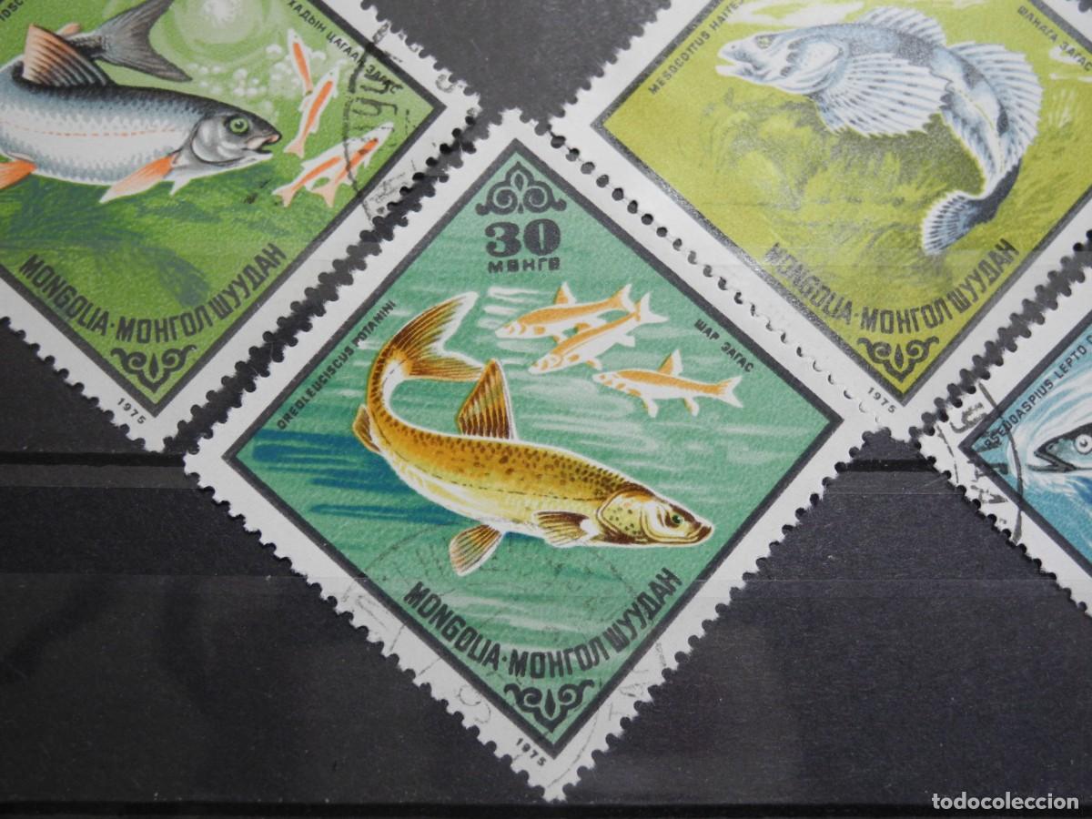 Sellos: Mongolia 1975. Yvert: MN 800 a 804. Peces. - Foto 5