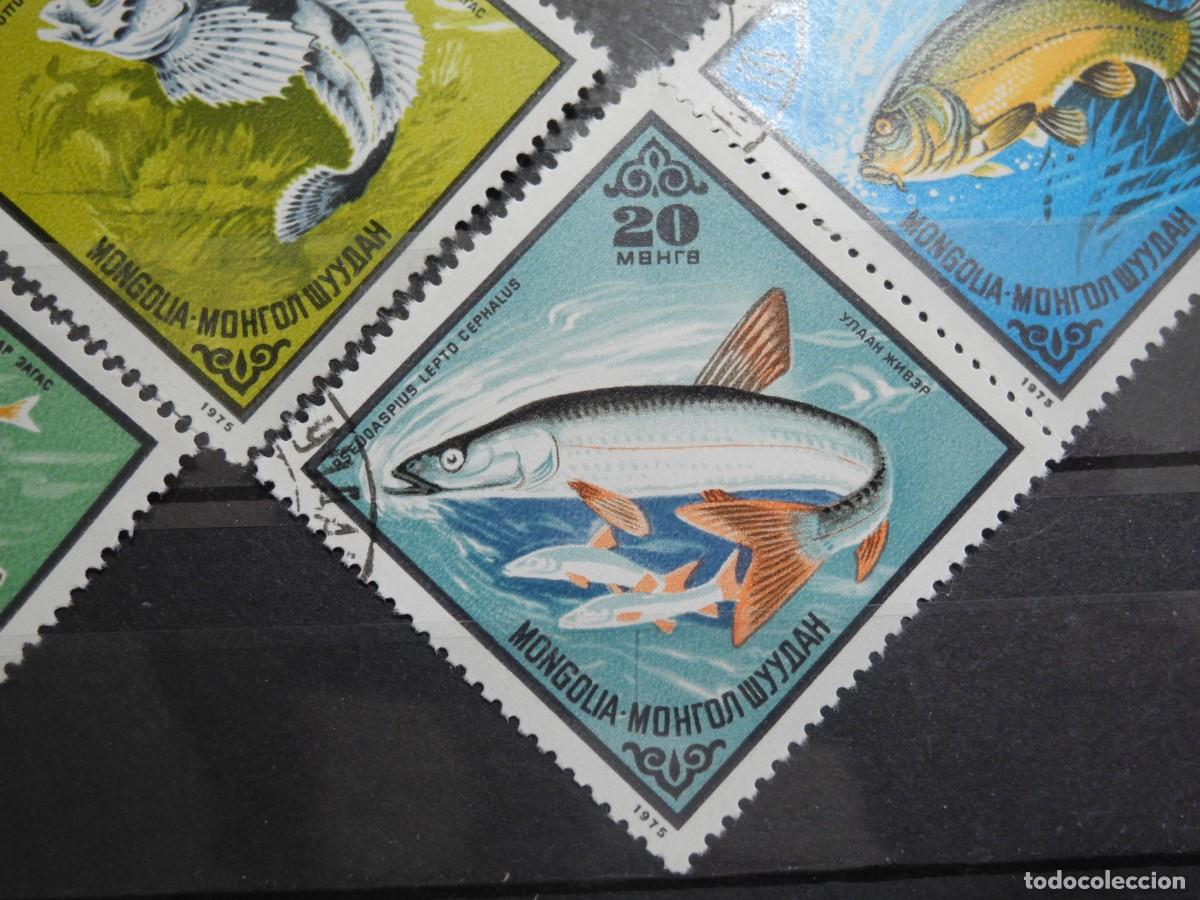 Sellos: Mongolia 1975. Yvert: MN 800 a 804. Peces. - Foto 6