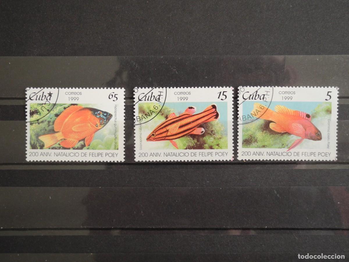Sellos: Cuba 1999. Yvert: CU 3801 a 3803. Peces. - Foto 1