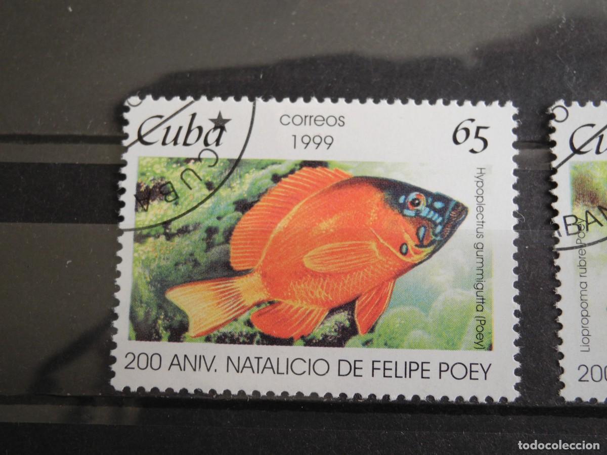 Sellos: Cuba 1999. Yvert: CU 3801 a 3803. Peces. - Foto 2