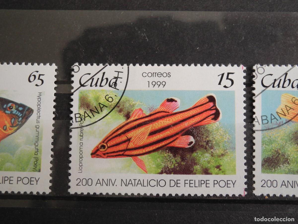 Sellos: Cuba 1999. Yvert: CU 3801 a 3803. Peces. - Foto 3
