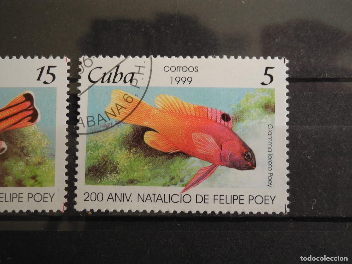 Sellos: Cuba 1999. Yvert: CU 3801 a 3803. Peces. - Foto 4
