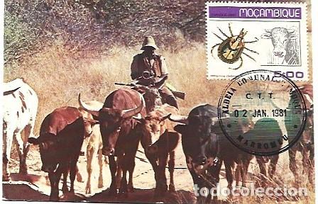 Sellos: Mozambique & Maxima, TGanado de Senderismo a Kang, Aldeia Comunal, Marromeu 1981 (4332)