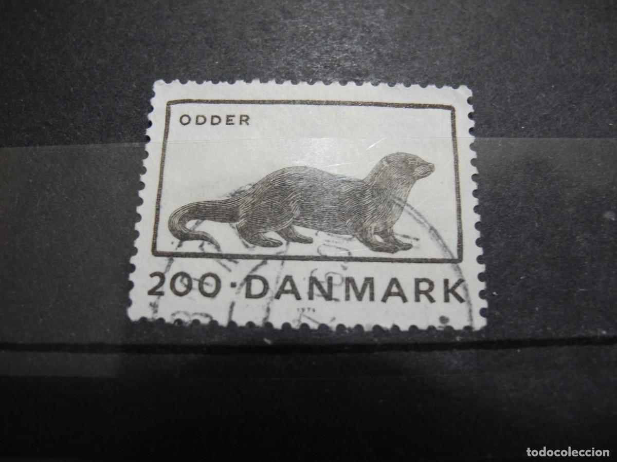 Sellos: Dinamarca 1975. Yvert: 611. Nutria - Foto 1