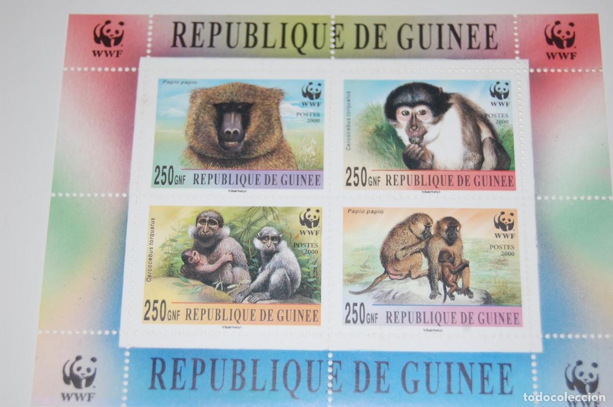 Timbres: HOJA BLOQUE 4 SELLOS** - REPUBLICA DE GUINEA- WWF - 2000