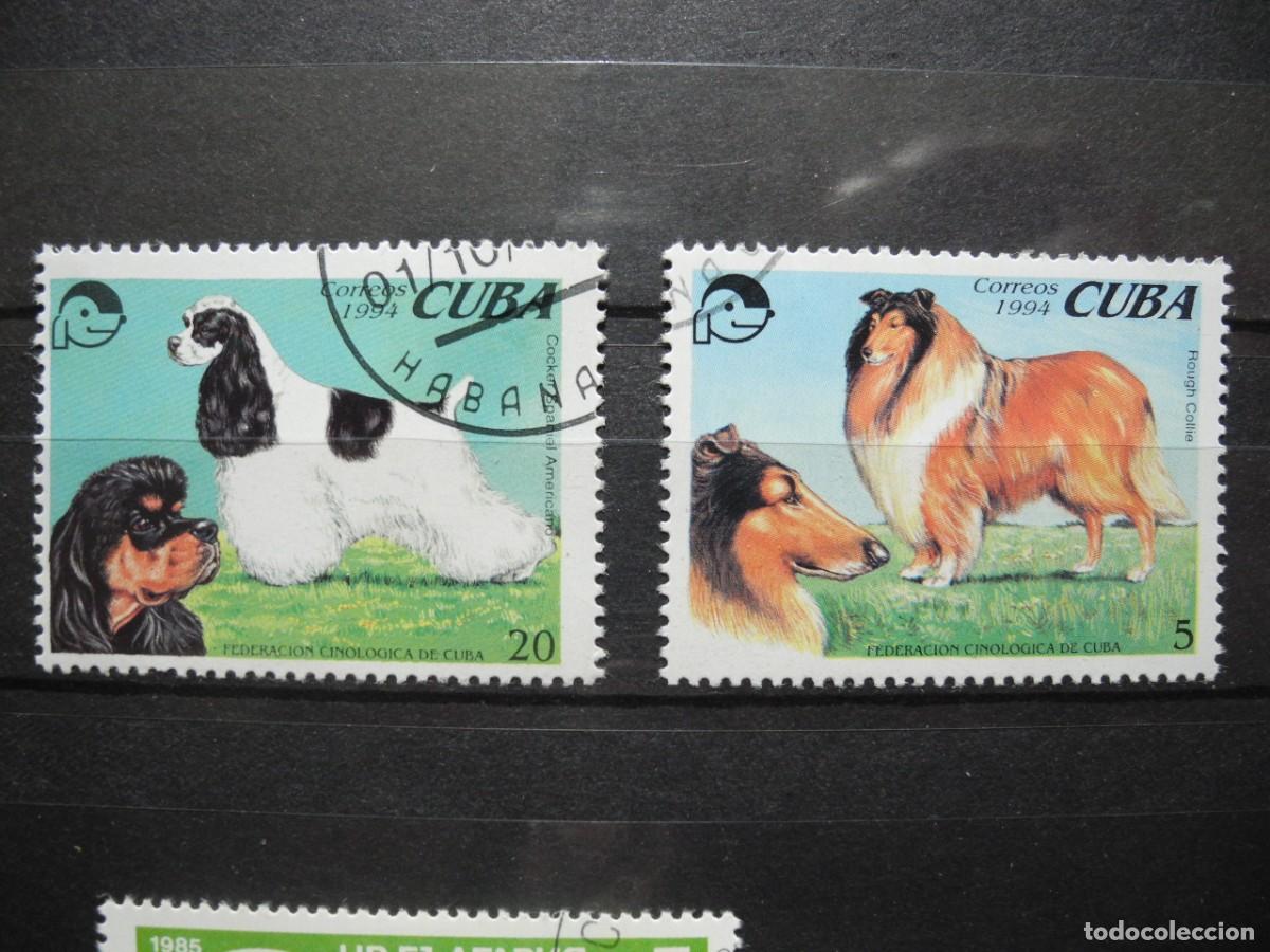 Sellos: Cuba 1994. Yvert: 3391/2 Perros - Foto 1