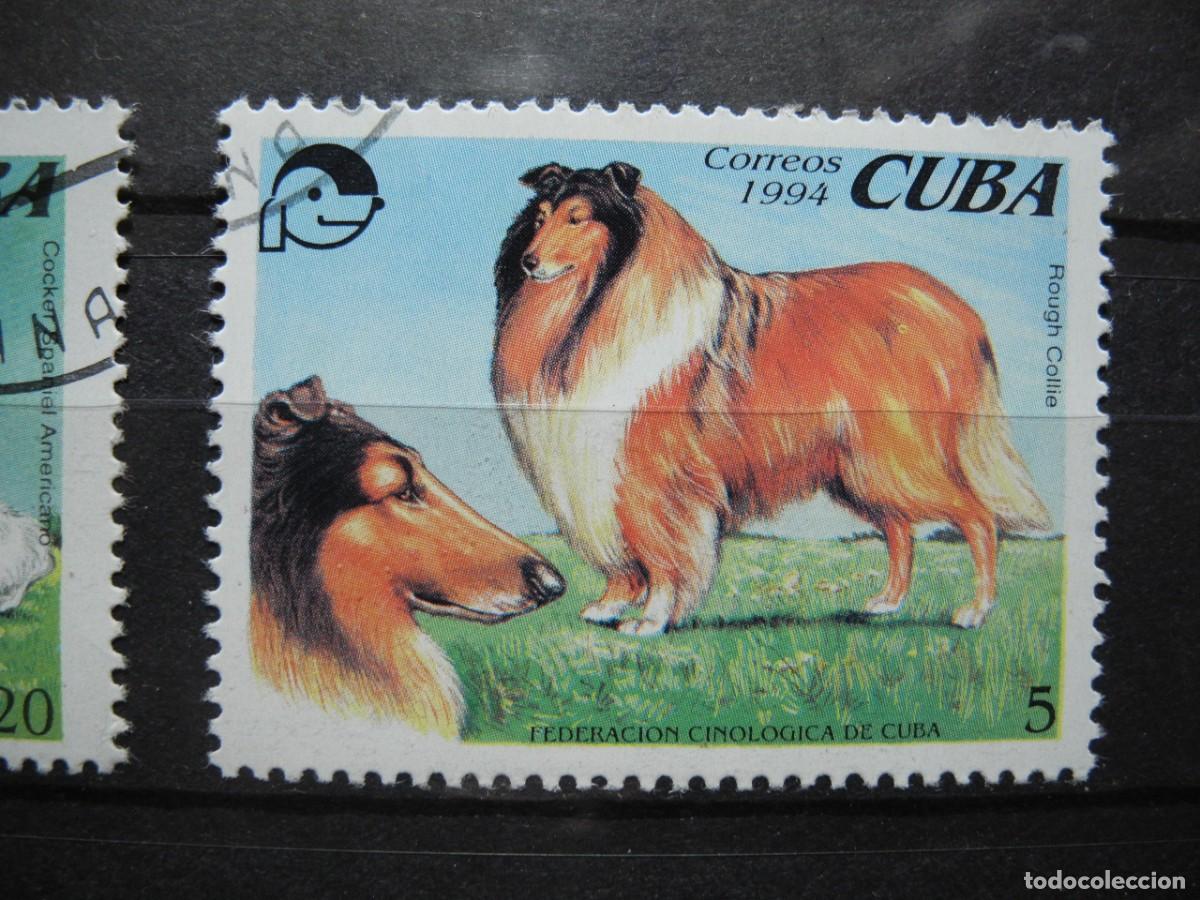 Sellos: Cuba 1994. Yvert: 3391/2 Perros - Foto 3