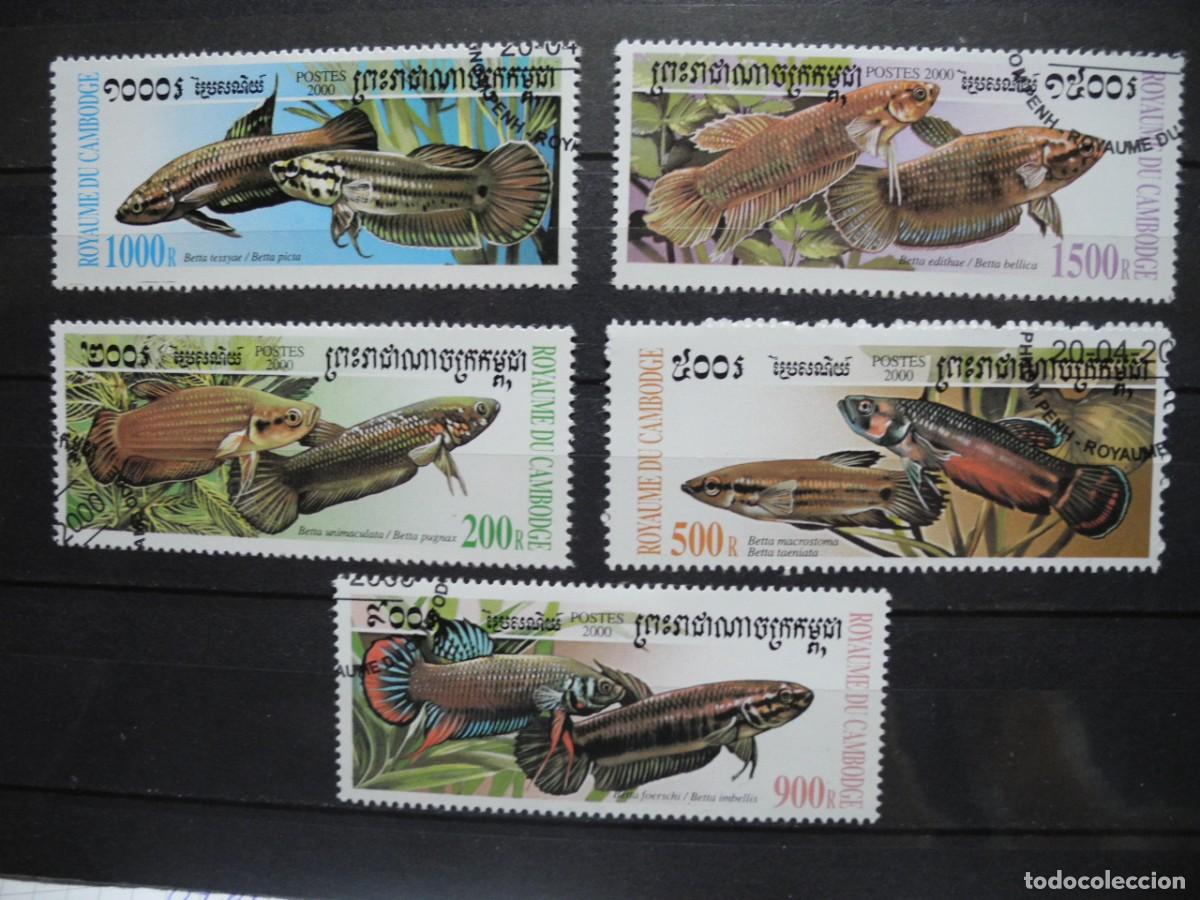 Sellos: Camboya 2000 Yvert 1719/23 peces - Foto 1