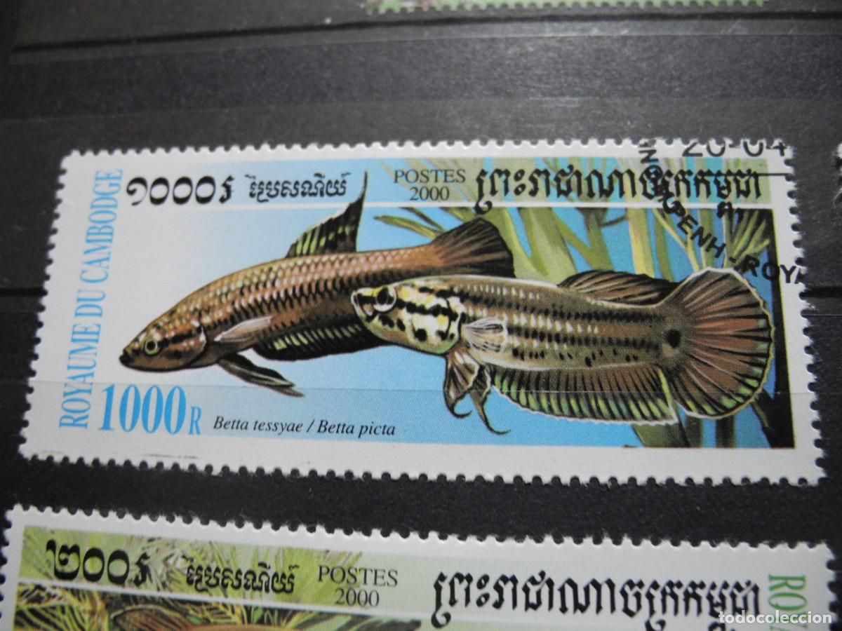 Sellos: Camboya 2000 Yvert 1719/23 peces - Foto 2