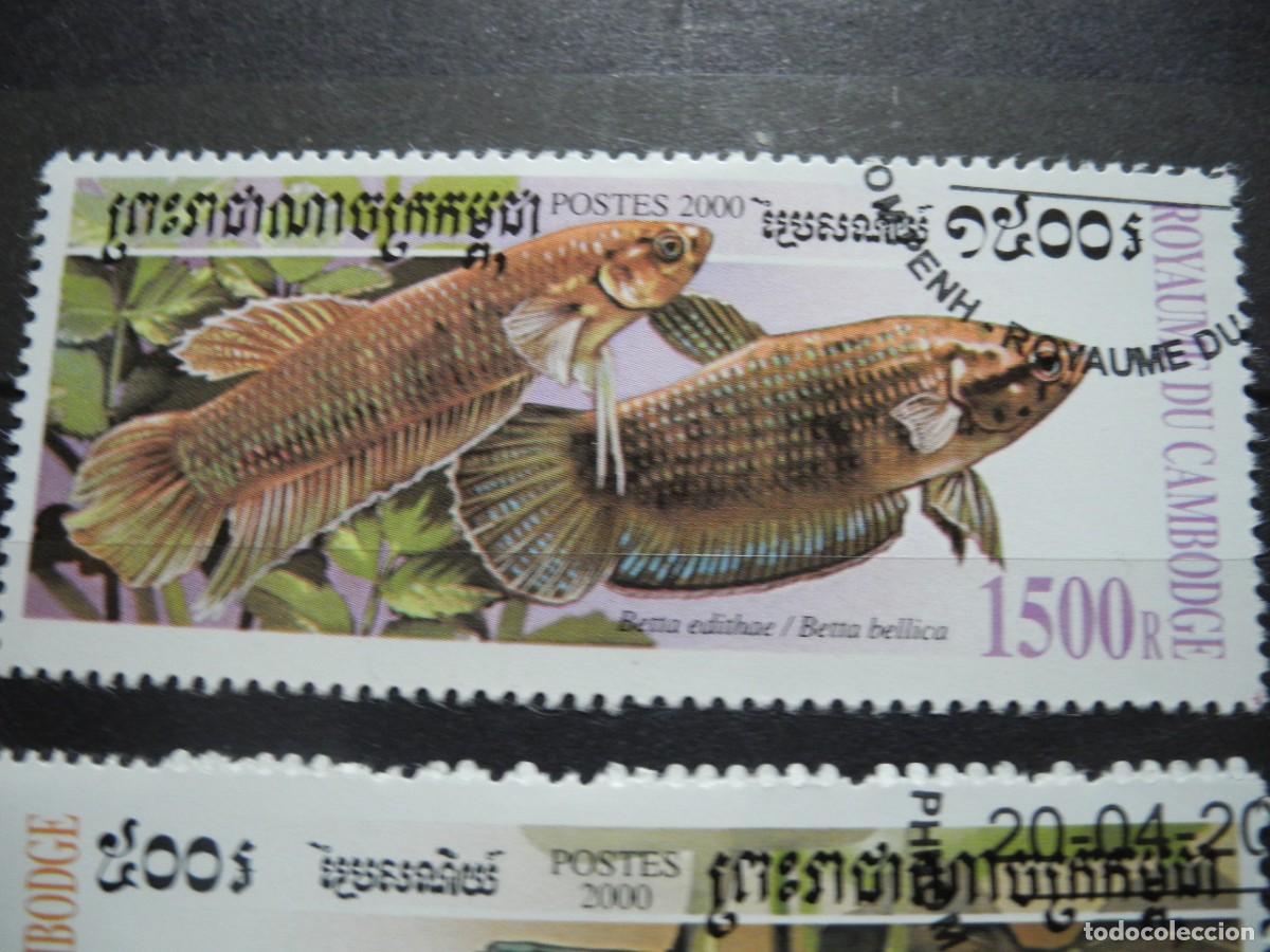 Sellos: Camboya 2000 Yvert 1719/23 peces - Foto 3