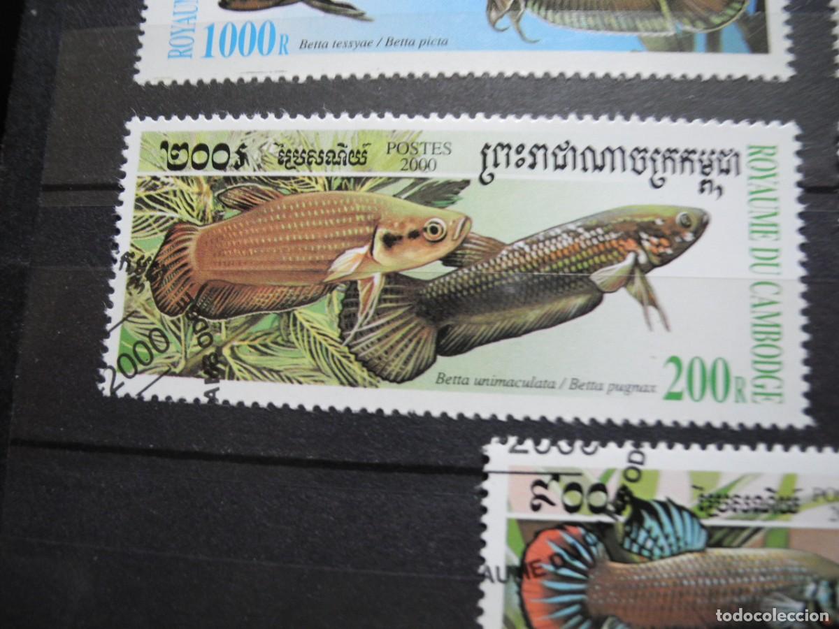 Sellos: Camboya 2000 Yvert 1719/23 peces - Foto 4