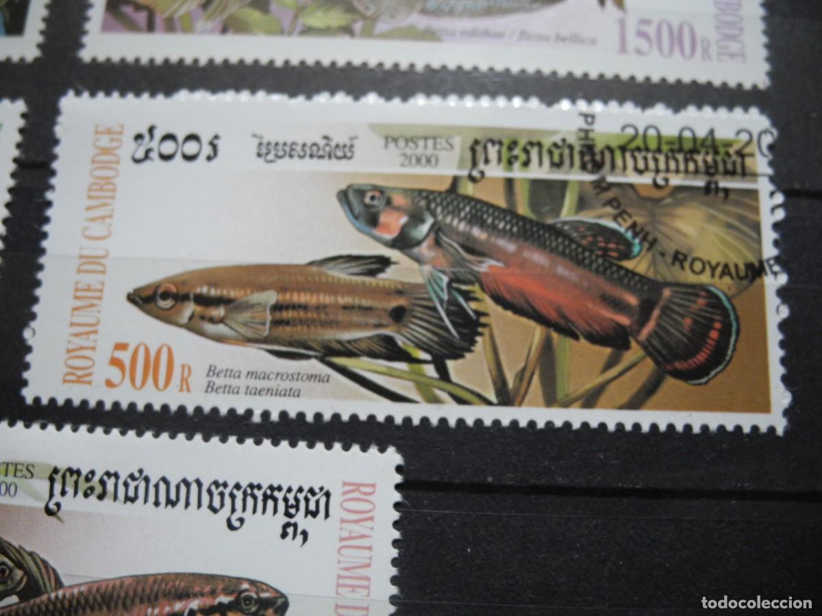 Sellos: Camboya 2000 Yvert 1719/23 peces - Foto 5