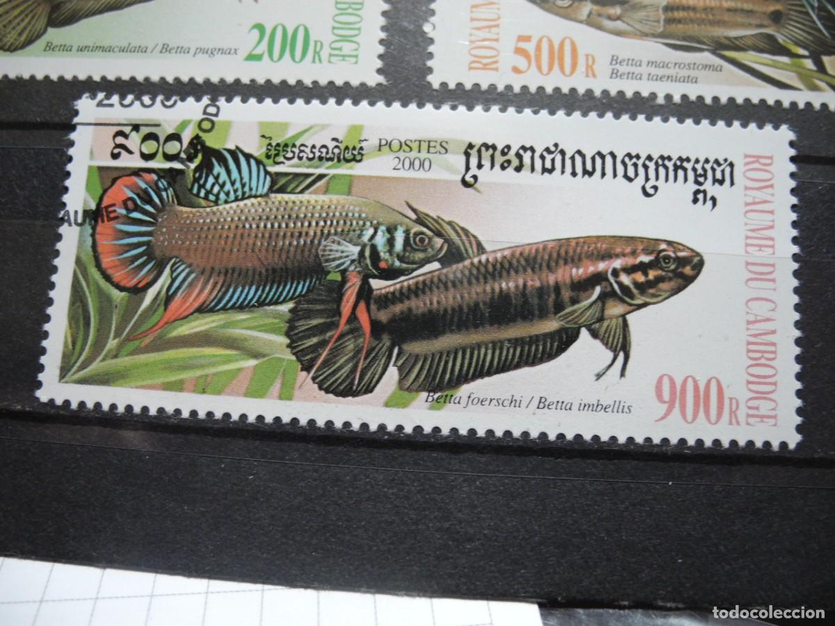 Sellos: Camboya 2000 Yvert 1719/23 peces - Foto 6