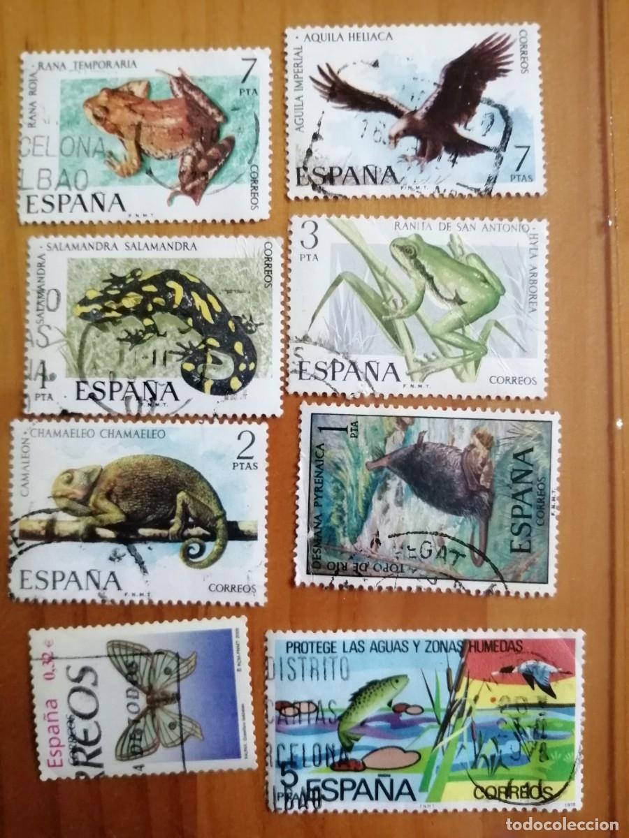 Selos: ESP&Agrave;&Ntilde;A - LOTE CON 8 SELLOS USADOS DE FAUNA HISP&Aacute;NICA.