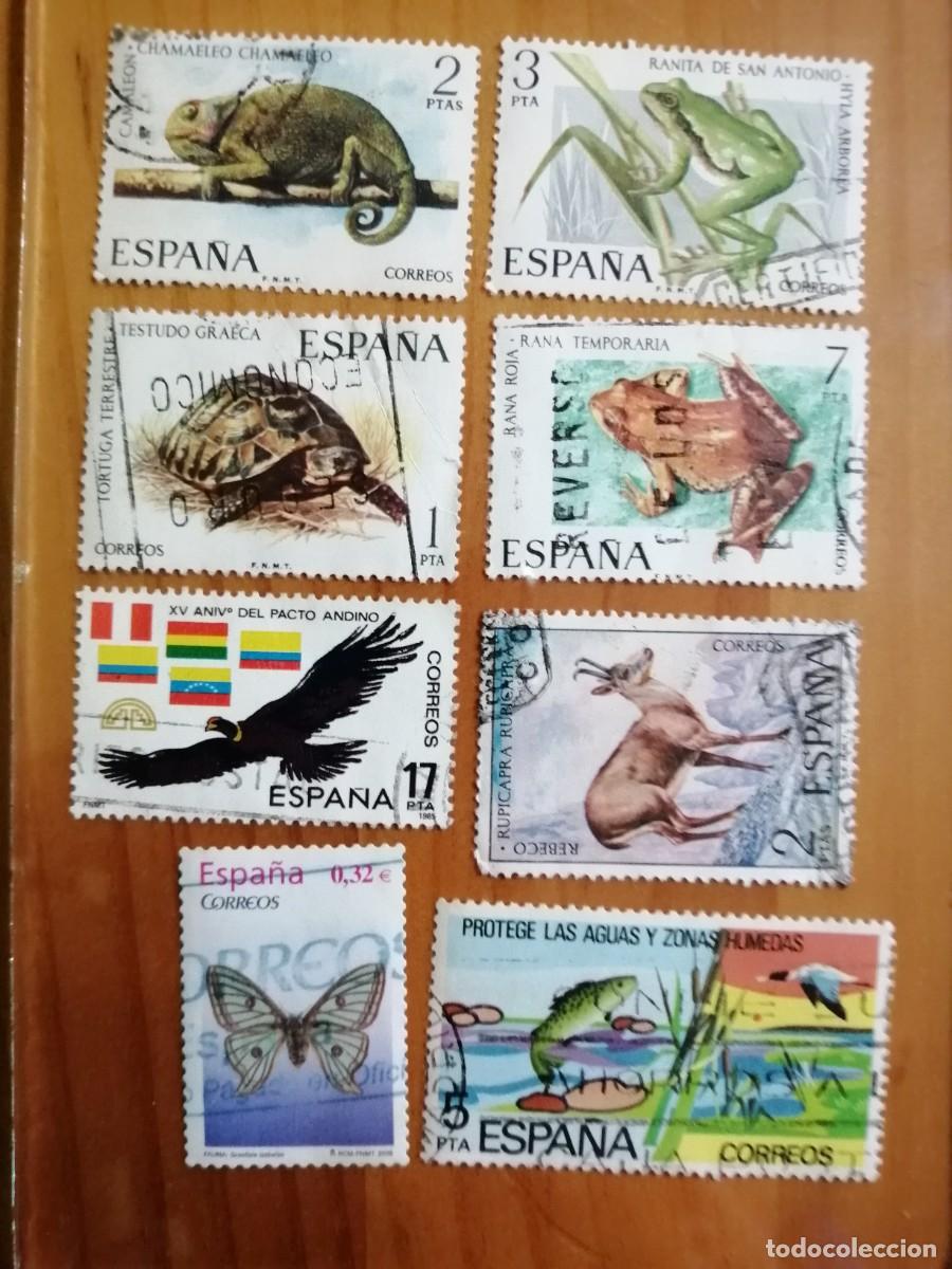 Selos: ESP&Agrave;&Ntilde;A - LOTE CON 8 SELLOS USADOS DE FAUNA HISP&Aacute;NICA.