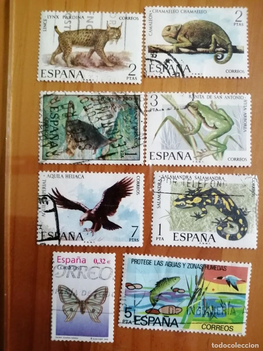 Selos: ESP&Agrave;&Ntilde;A - LOTE CON 8 SELLOS USADOS DE FAUNA HISP&Aacute;NICA.