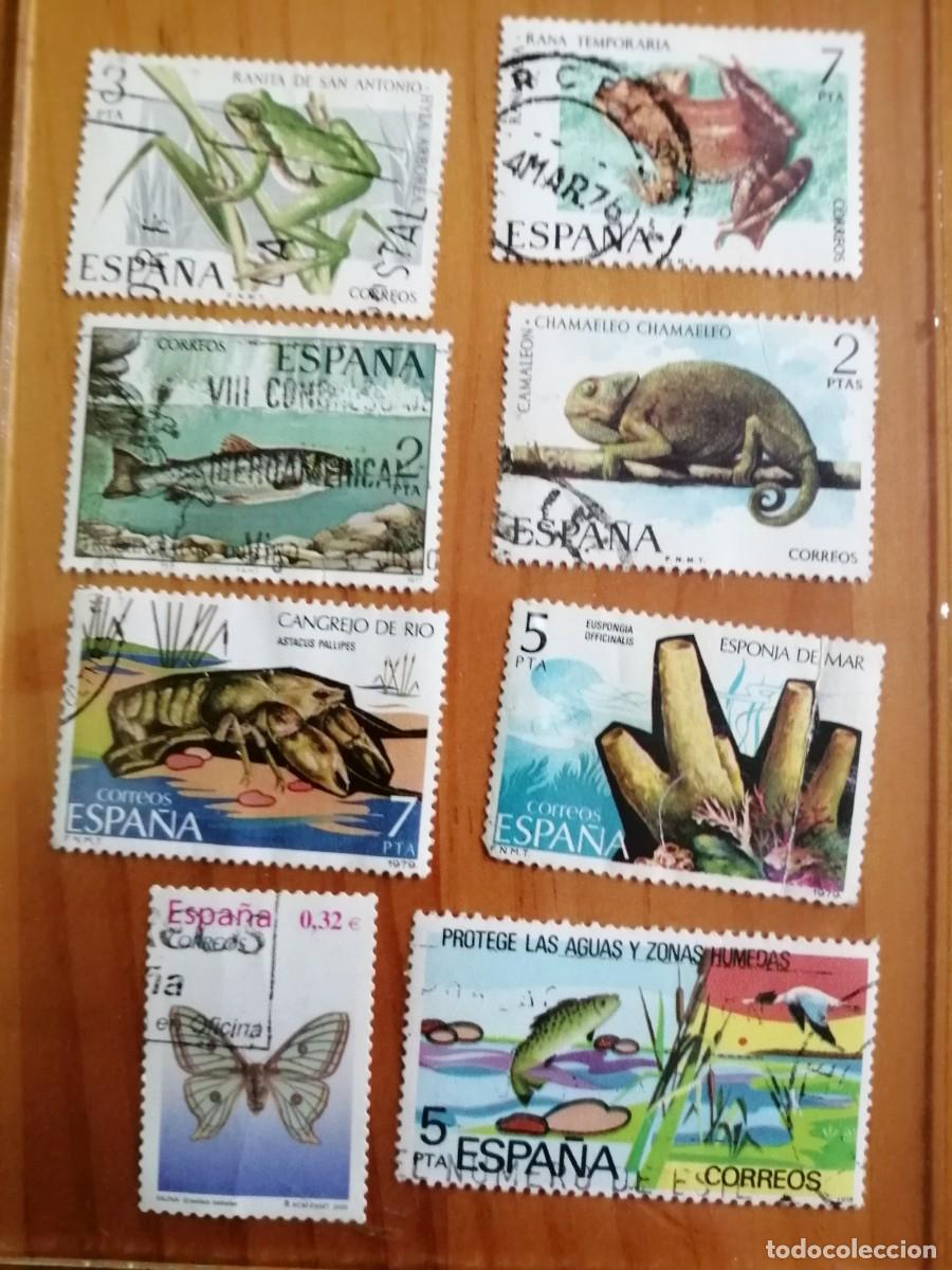 Selos: ESP&Agrave;&Ntilde;A - LOTE CON 8 SELLOS USADOS DE FAUNA HISP&Aacute;NICA.
