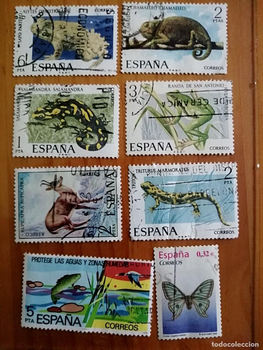 Selos: ESP&Agrave;&Ntilde;A - LOTE CON 8 SELLOS USADOS DE FAUNA HISP&Aacute;NICA.
