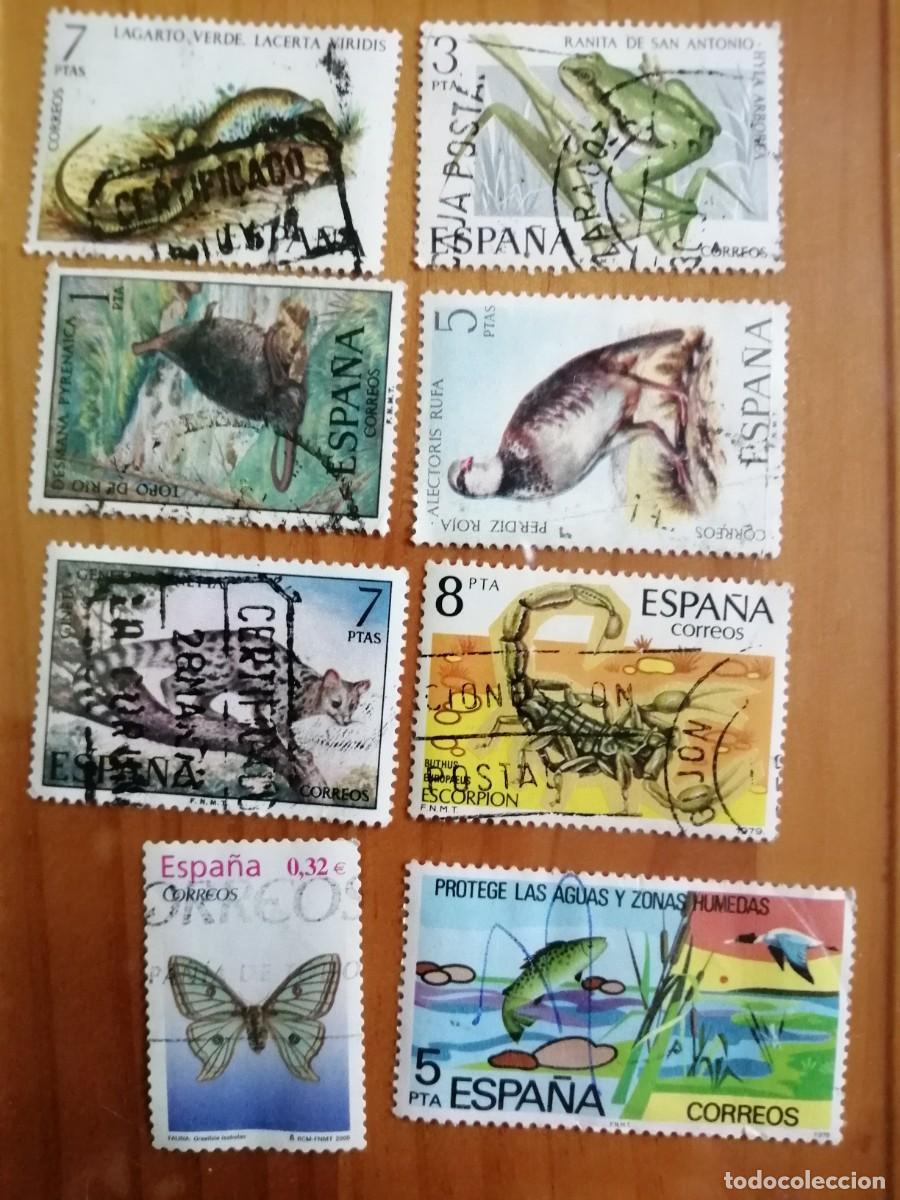 Selos: ESP&Agrave;&Ntilde;A - LOTE CON 8 SELLOS USADOS DE FAUNA HISP&Aacute;NICA.