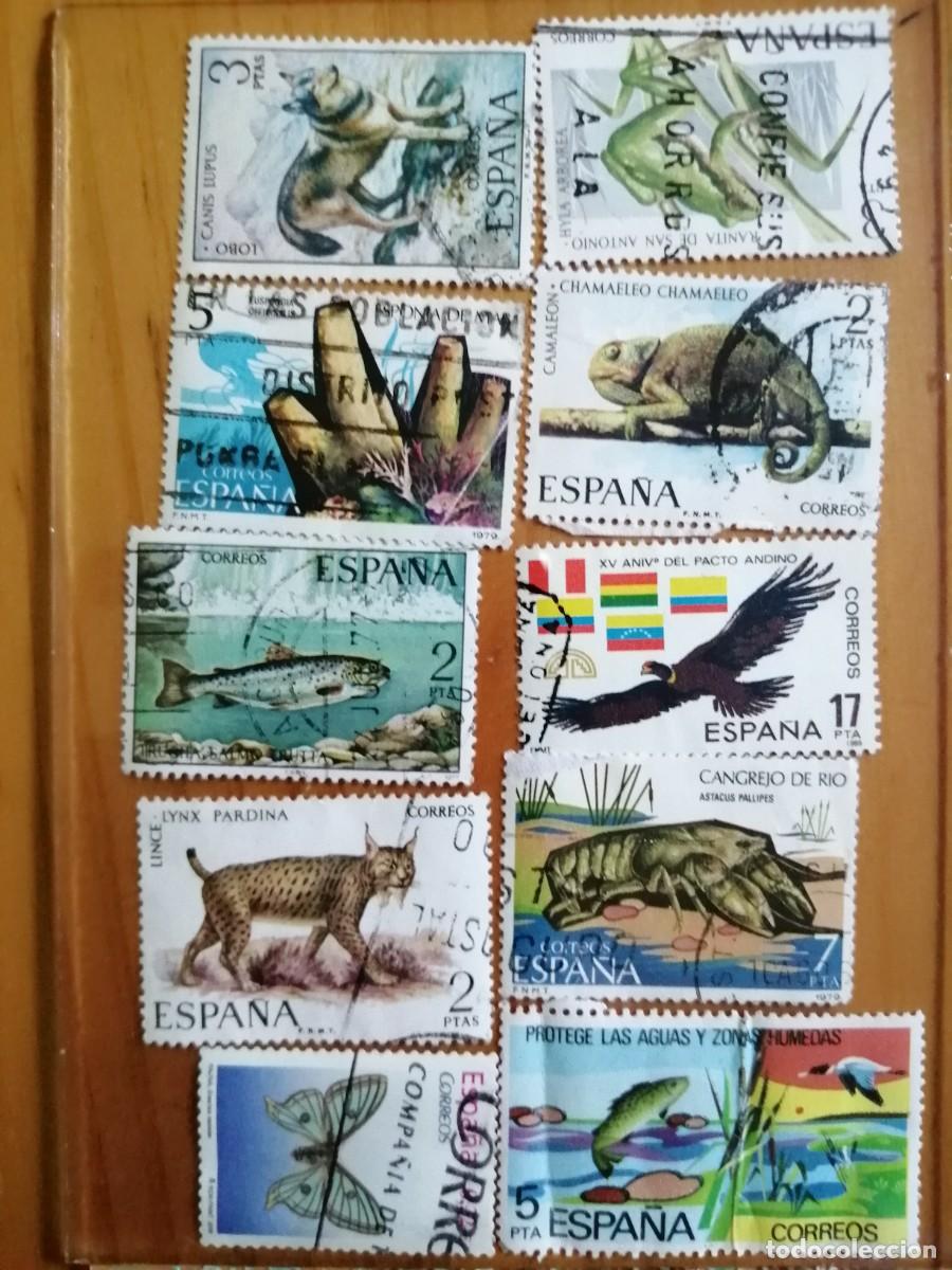 Selos: ESP&Agrave;&Ntilde;A - LOTE CON 10 SELLOS USADOS DE FAUNA HISP&Aacute;NICA.