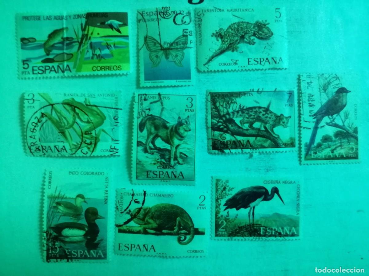 Selos: ESP&Agrave;&Ntilde;A - LOTE CON 10 SELLOS USADOS DE FAUNA HISP&Aacute;NICA.