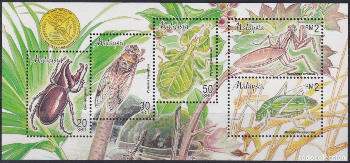 Timbres: F-EX39250 MALAYSIA 1998 INSECTS ENTOMOLOGY BEETLE.