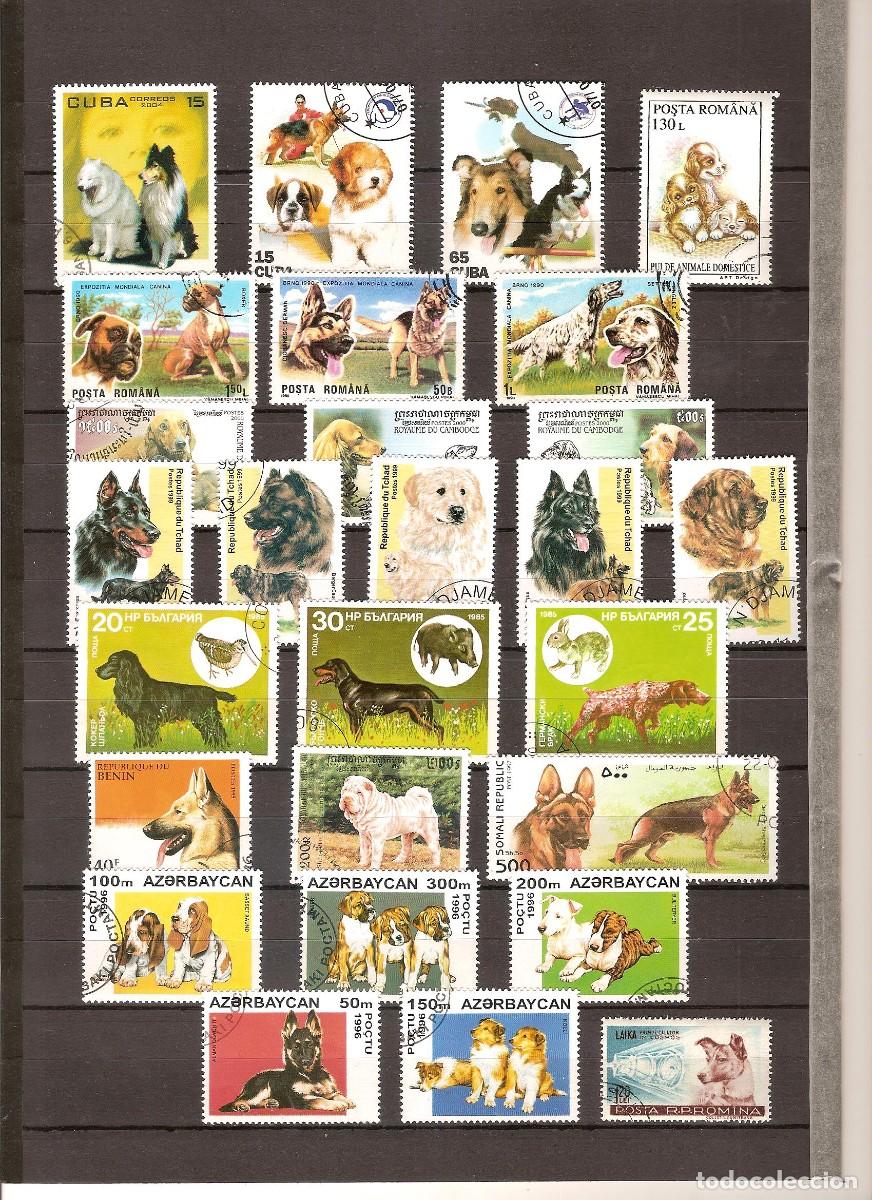 Sellos: LE MONDE DES CHIENS - Foto 1