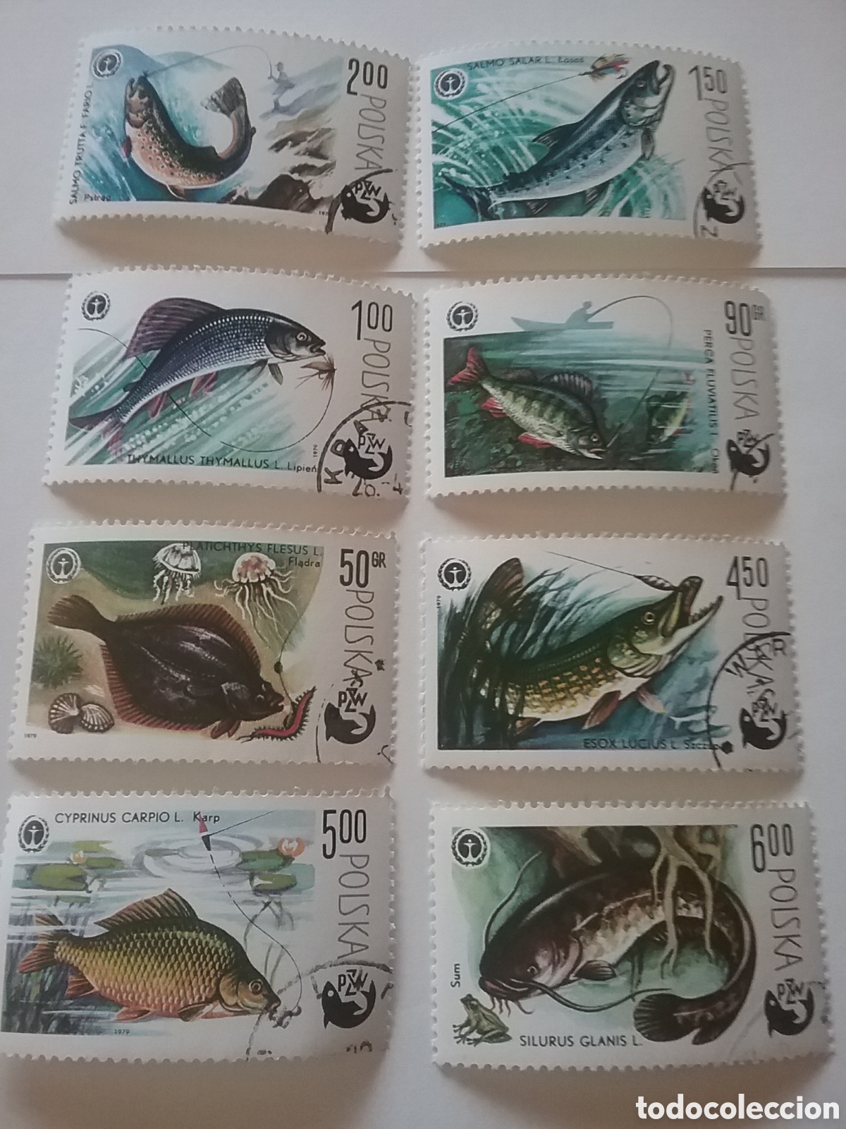 Selos: Sello Polonia (Polska) mtdo 1979. 100Aniv pesca deporte. Peces, vida fauna fluvial, mar. Pescado.