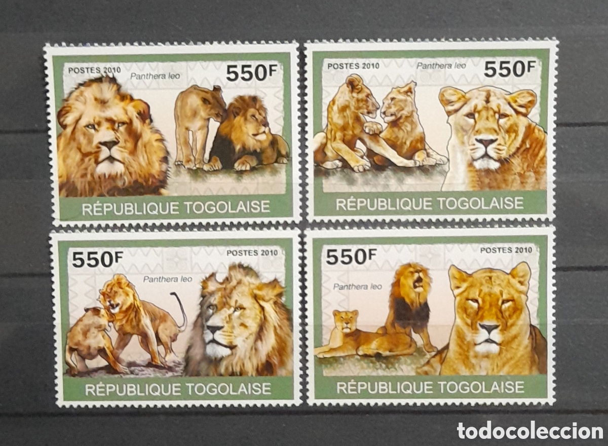 togo 2010 felinos leones serie de sellos nuevos - Acheter Timbres de faune  sur todocoleccion