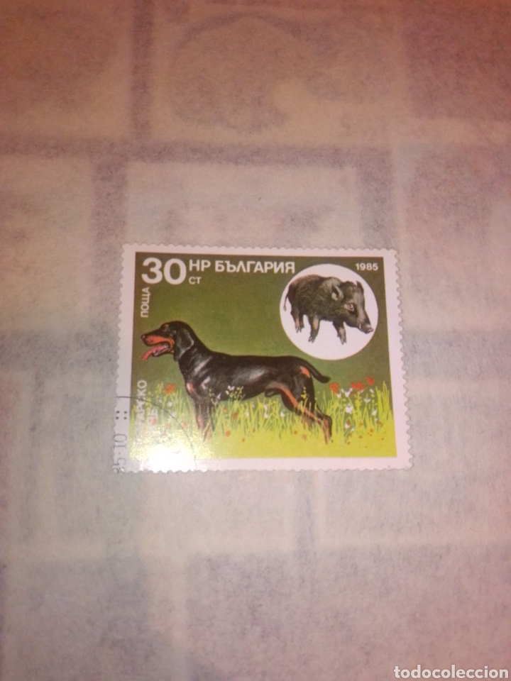 Sellos: Fauna Bulgaria perros - Foto 1
