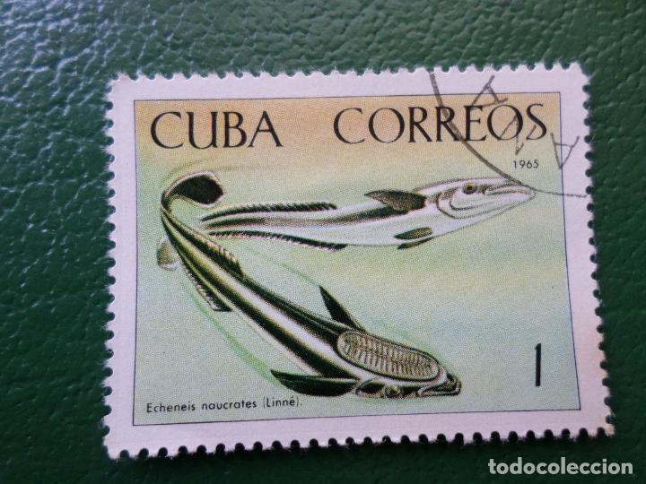 Sellos: :cuba, 1965, r&eacute;mora rayada, Yvert 934 - Foto 1