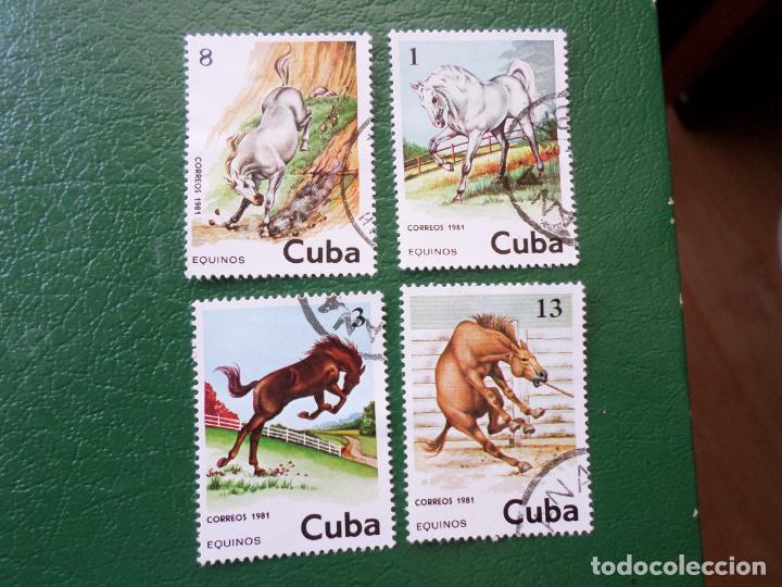 Sellos: :cuba, 1981, caballos - Foto 1