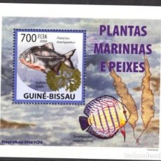Sellos: GUINEA 2009 HOJA BLOQUE SELLOS FAUNA - PLANTAS ALGAS MARINAS Y PECES - PEIXES. Lote 399105694
