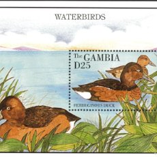 Sellos: GAMBIA / THE GAMBIA. AVES ACUÁTICAS / WATERBIRDS. PORRÓN PARDO / FERRUGINOUS DUCK. 1995. Lote 400925624