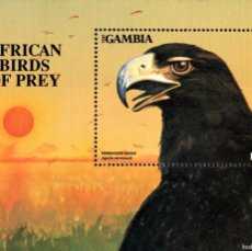 Sellos: GAMBIA / THE GAMBIA. AVES RAPACES AFRICANAS / AFRICAN BIRDS OF PREY. AQUILA VERREAUXII 1993.. Lote 400930509
