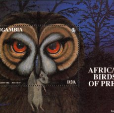 Sellos: GAMBIA / THE GAMBIA. AVES RAPACES AFRICANAS / AFRICAN BIRDS OF PREY. STRIX ALUCO. 1993.. Lote 400930844