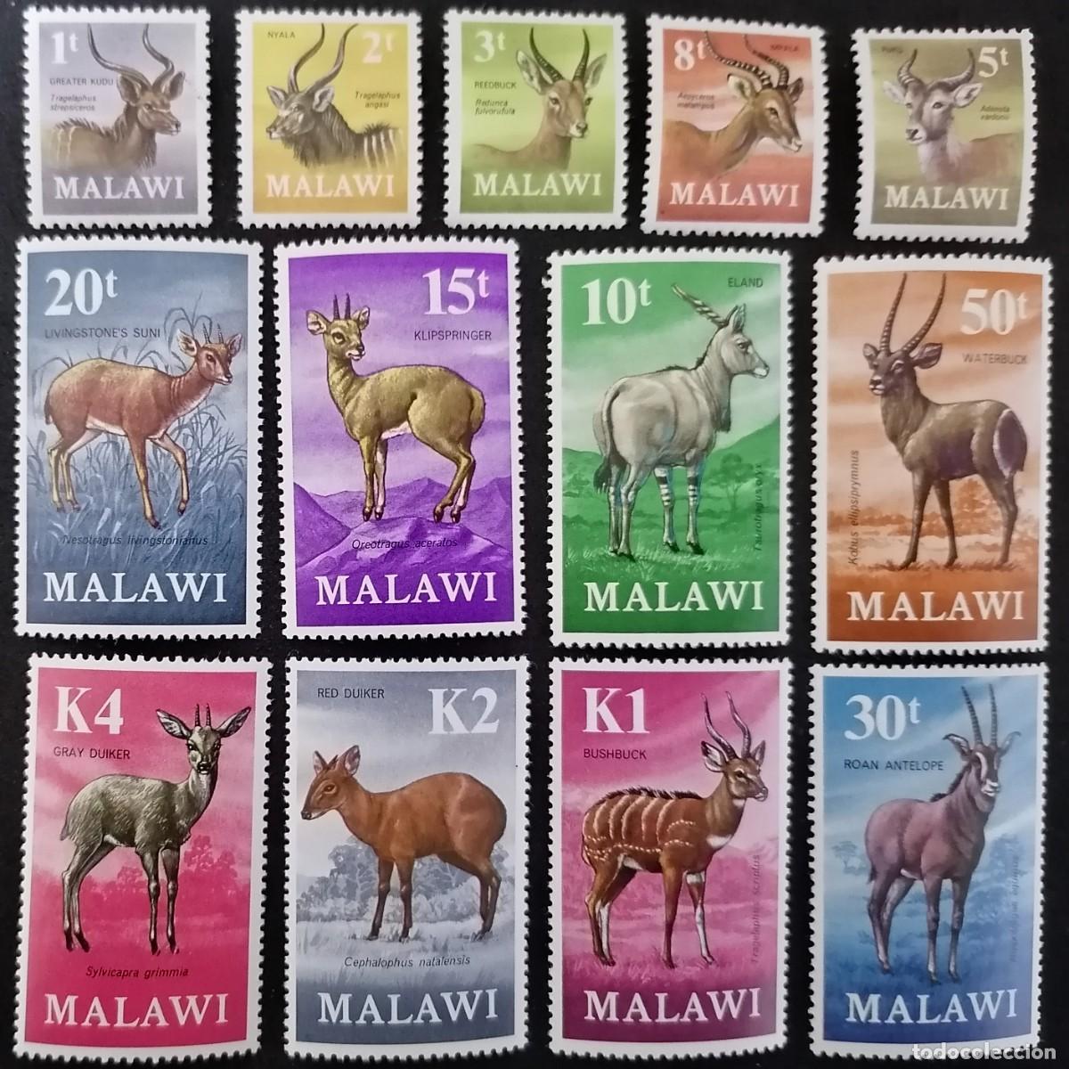 Sellos: MALAWI 1971 - ANT&Iacute;LOPES . - Foto 1
