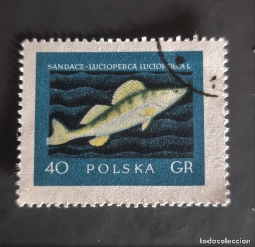 Sellos: SELLO USADO POLONIA PEZ - Foto 1