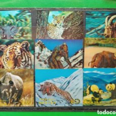 Sellos: BHUTAN 1970 ANIMALES SALVAJES 272/80