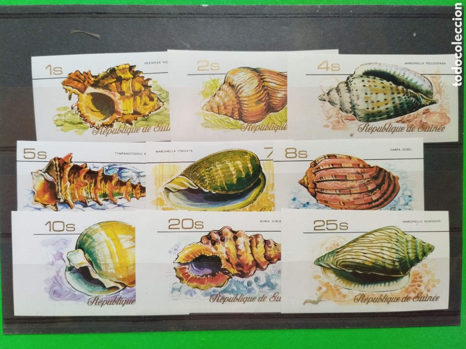 Sellos: Rep&uacute;blica Guinea 581/89 Sin dentar - Foto 1