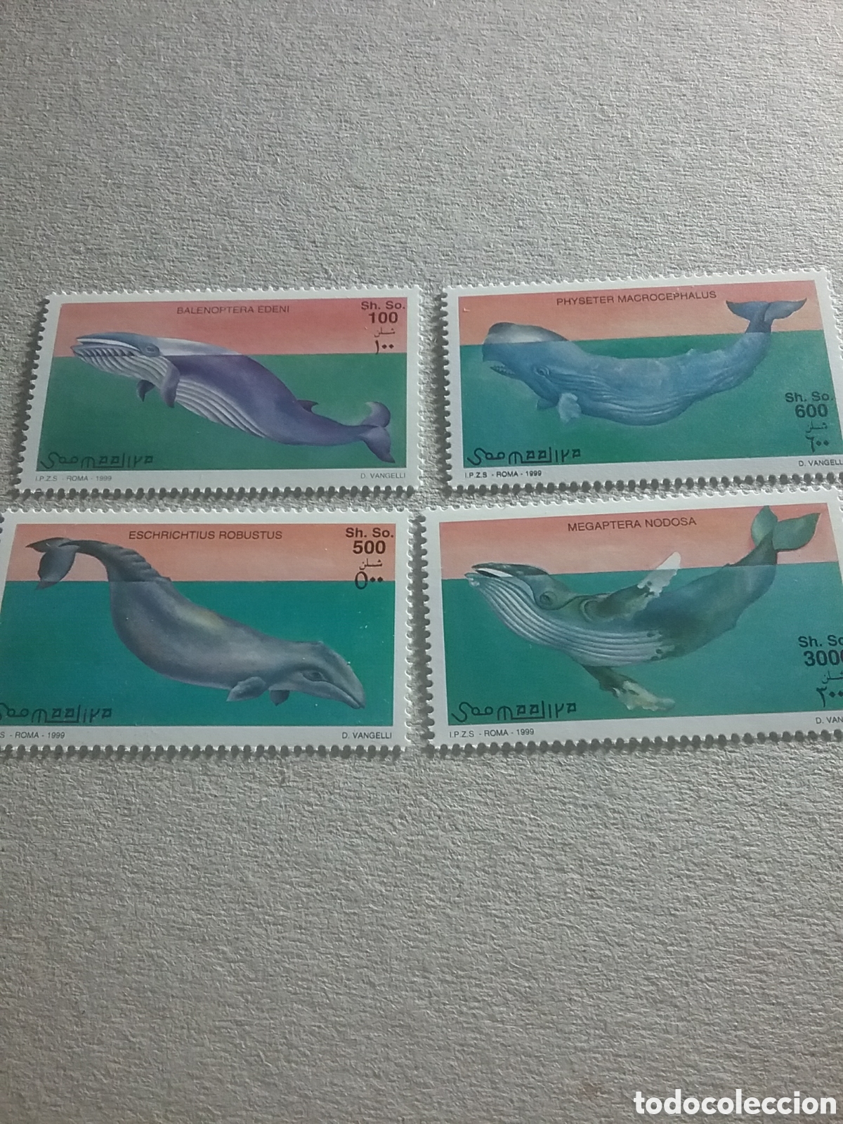 Selos: Sello Somalia nuevo 1999. Ballenas. Cetáceos. Barco. Pesca. Barca. Fauna. Vida marina.