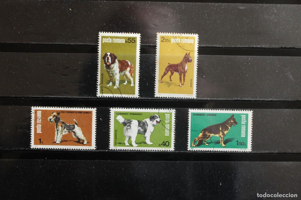 Sellos: SERIE SELLOS PERROS - Foto 1
