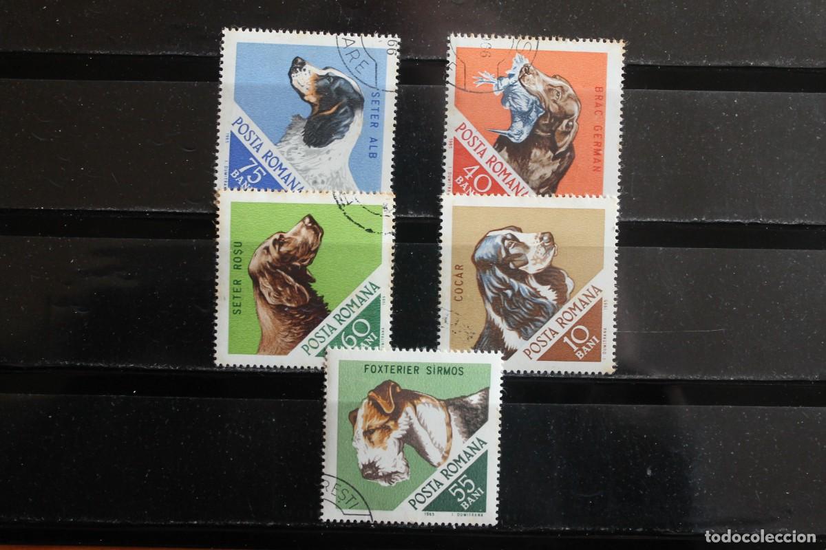 Sellos: SERIE SELLOS PERROS - Foto 1