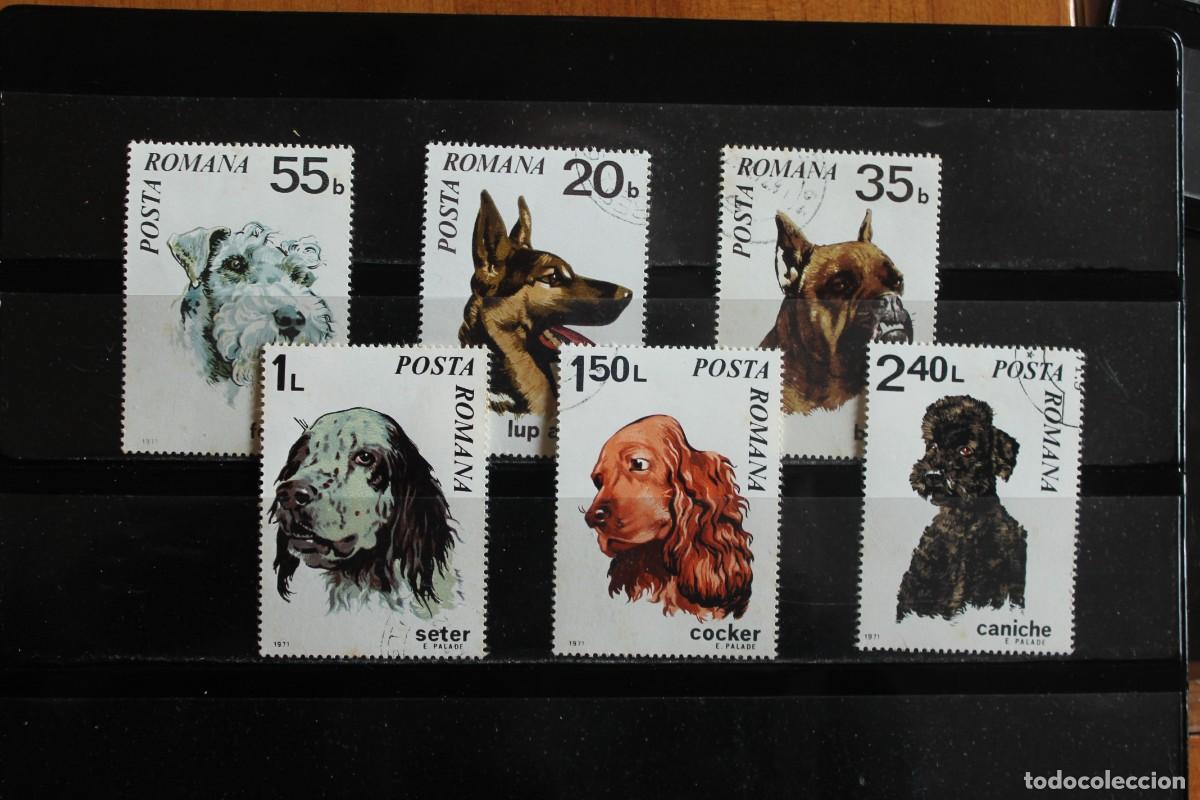 Sellos: SERIE SELLOS PERROS - Foto 1