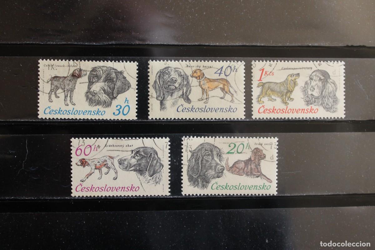 Sellos: SERIE SELLOS PERROS - Foto 1